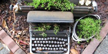 Schreibmaschine, Pflanze, Blumentopf, DIY
