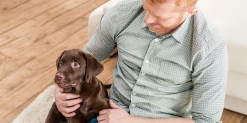 Die Kommunikation zwischen Hundehalter und Welpe ist das A und O in der Hundeerziehung.