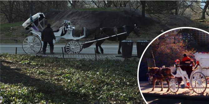 New York will Pferdekutschen im Central Park verbieten