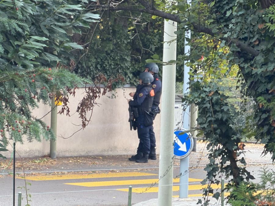 In Meilen ZH läuft ein Grosseinatz.