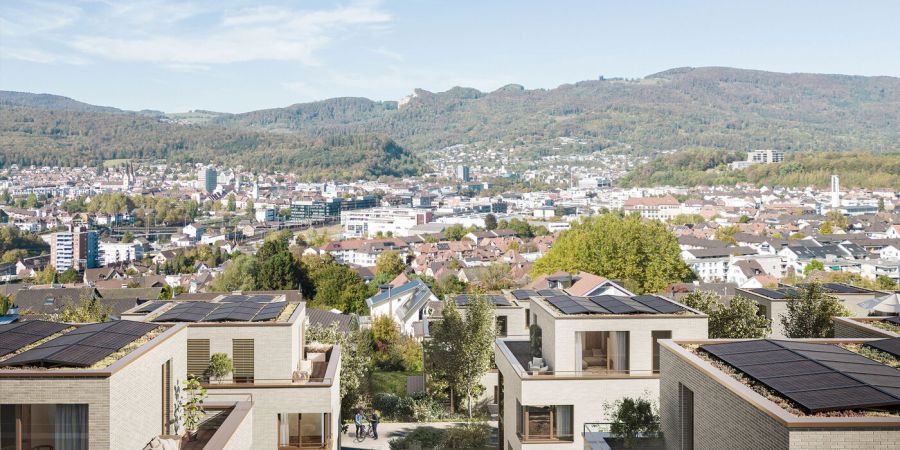 Visualisierung der geplanten Überbauung mit 13 Doppel- und 6 Einfamilienhäusern.
Visualisierung: www.obra.ch