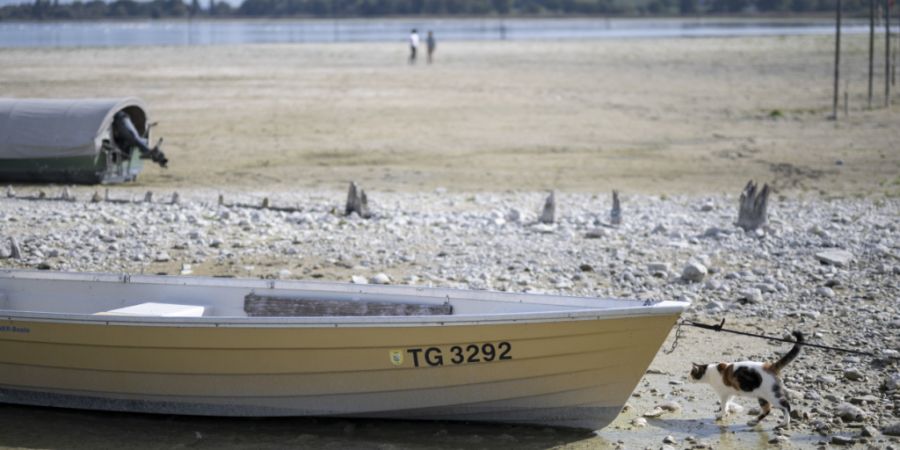 Mit 56 Massnahmen in 30 Handlungsfeldern will der Bundesrat die Folgen des Klimawandels - im Bild der Bodensee Anfang Oktober - eindämmen. (Archivbild)
