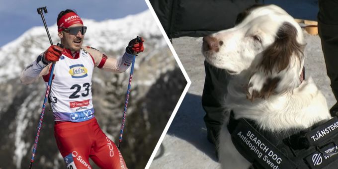 Molly hat den Riecher - Dieser Hund sucht Doping-Mittel an Biathlon-WM