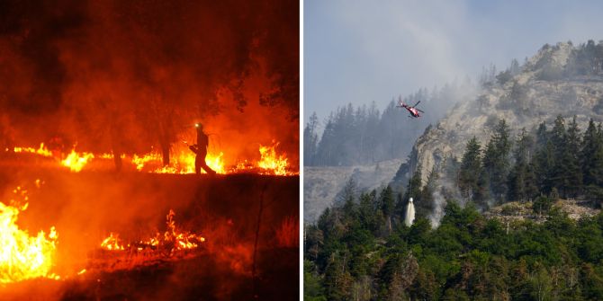 brand