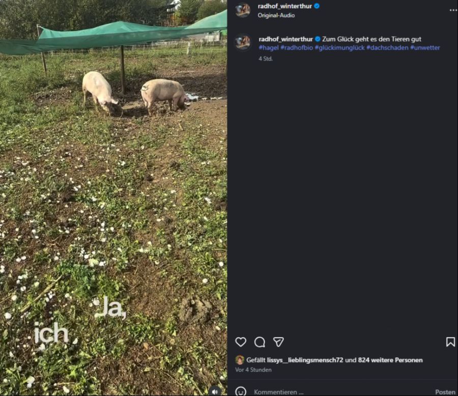 Er wollte die Tiere noch in den Stall bringen – doch der Hagel war schneller, erzählt er im Instagram-Video.