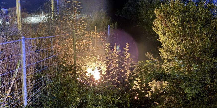 heckenbrand Wil