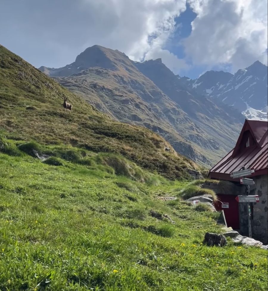 Das «Rifugio Luigi Mambretti» liegt in der Provinz Sondrio in der italienischen Region Lombardei.