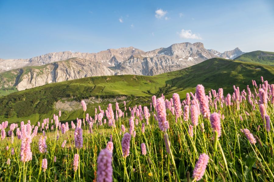 Schweiz wandern