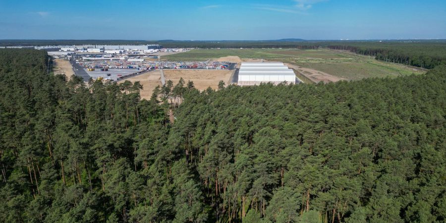 Dichter Wald steht am östlichen Teil des Werksgeländes der Tesla Gigafactory.