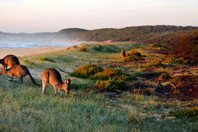 klima australien