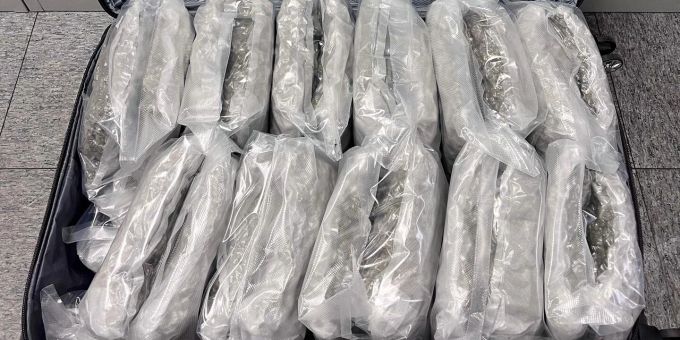 Flughafen Zürich: Marihuana im Koffer versteckt. Marihuana im Koffer