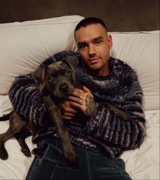 Liam Payne war schon mal in einer Suchtklinik. Liam Payne