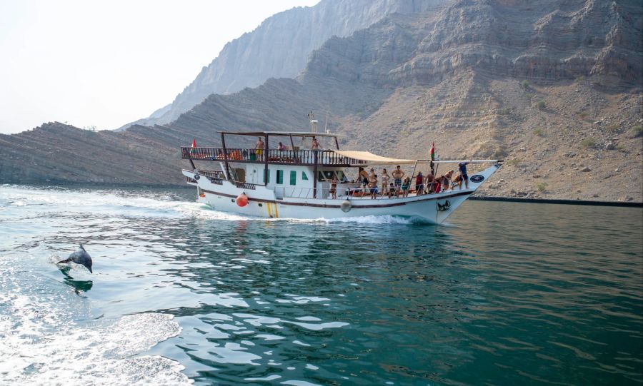 Oman Delphin Tour