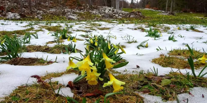 Wetter Wird Diese Woche Wieder Kalter