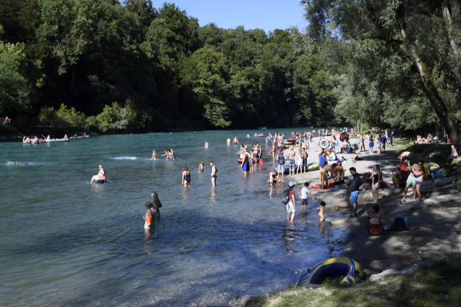 Die Aare beim Eichholz im Sommer 2018.