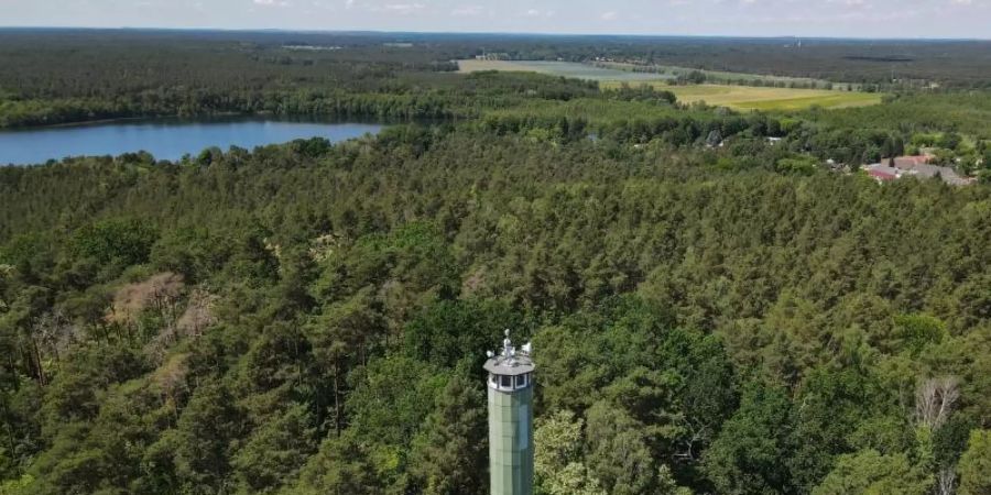 Der Feuerwachturm Zesch nahe Wünsdorf vom Landesbetrieb Forst Brandenburg. Foto: Patrick Pleul/dpa-Zentralbild/dpa