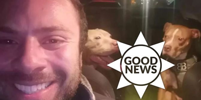 Hunde Grossbritannien Verbot Rettung