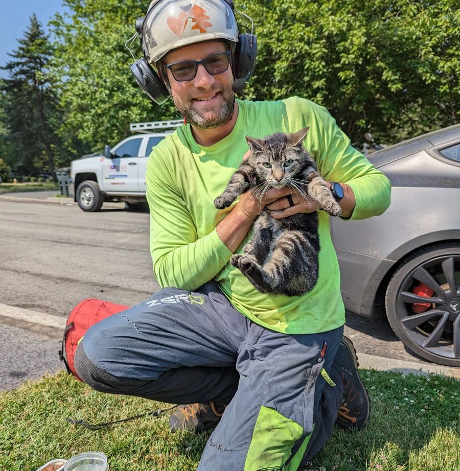 Der Amerikaner konnte so in den letzten drei Jahren bereits über hundert Katzen zurück auf den Boden bringen.