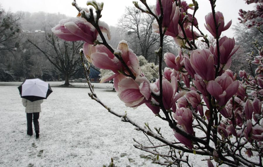 Mit der Kälte sinkt auch die Schneefallgrenze: Es könnte auch im Flachland weiss werden. (Archivbild)