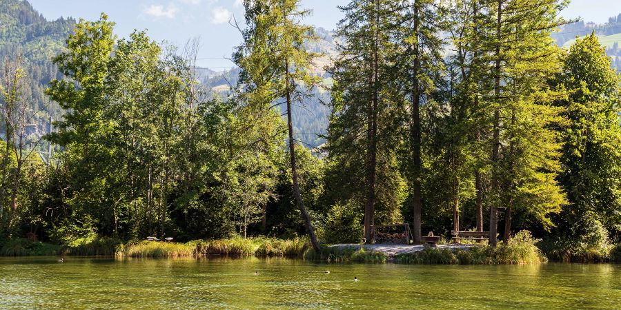 Der Forellensee. - Zweisimmen