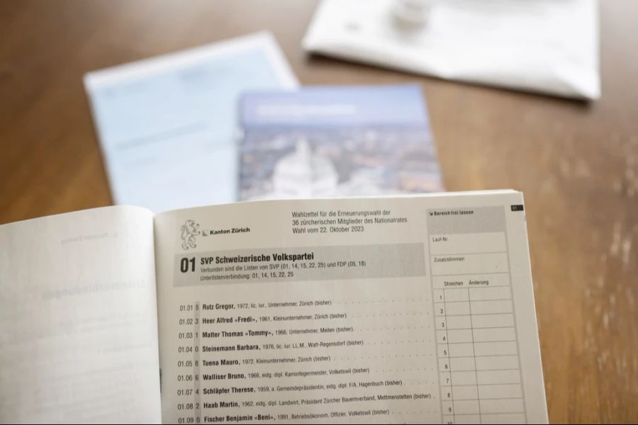 Institutionalisierte Hintergrund-Checks würden deshalb meist nur für Bundesrats- und Regierungsratswahlen durchgeführt. (Symbolbild)