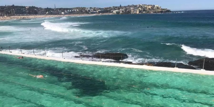 Das Meerwasser-Schwimmbecken «Icebergs» am Bondi Beach gehört zu den bekanntesten Swimming Pools der Welt. Foto: Christoph Sator/dpa