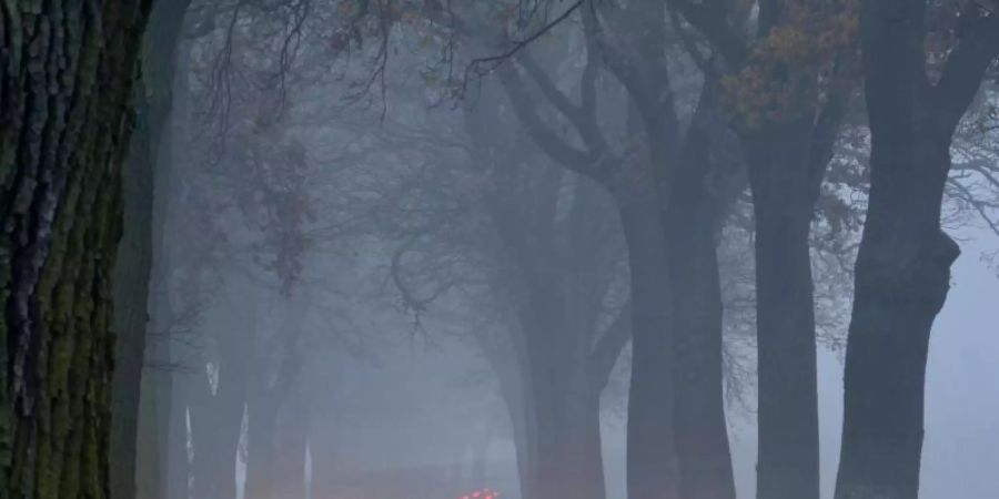 Mit H7-Lampen geben Scheinwerfer in der Regel ein stärkeres Licht ab als mit H4-Leuchtmitteln. Foto: Patrick Pleul/zb/dpa