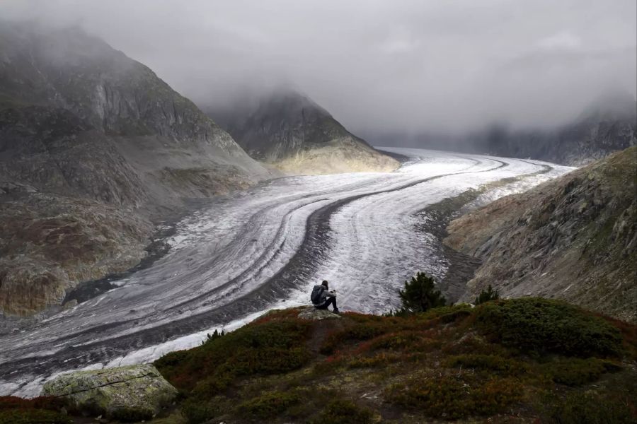 Dramatischer Schwund Schweizer Gletscher