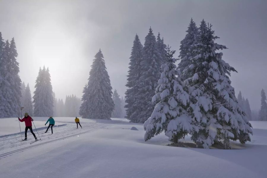 Langlauf im Jura