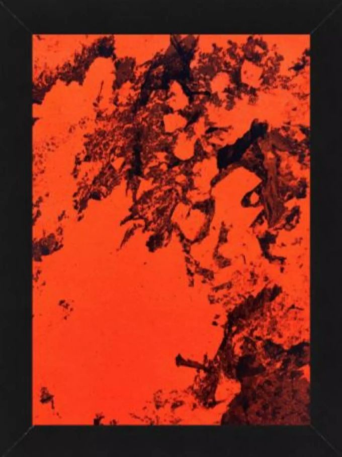 Das Bild "R-red" von Jérôme Roy Eichenberger. Jérôme Roy Eichenberger.