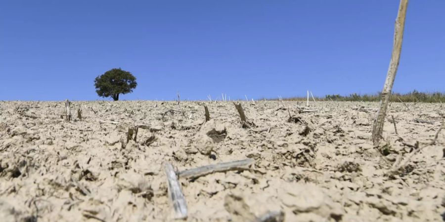 Klimawandel