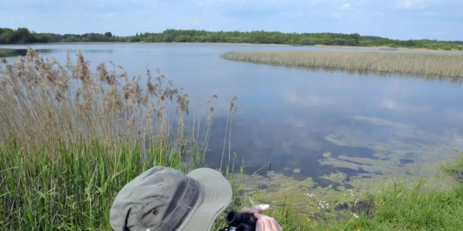 Der Biebrza-Nationalpark ist ein Paradies für seltene Tiere