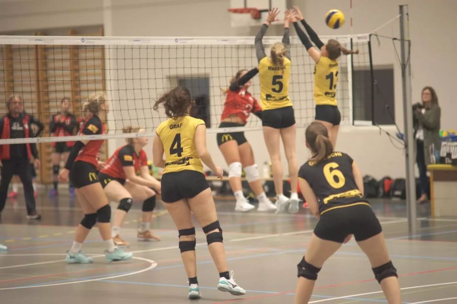 SV Volley Wyna
