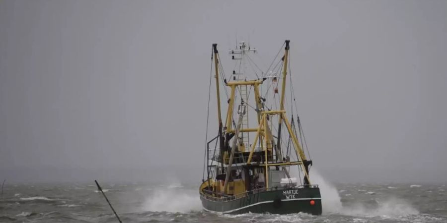Ein Fischkutter fährt vor Dagebüll über die sturmgepeitschte Nordsee. Greenpeace sorgt sich um die Ökosysteme in Nord- und Ostsee. Foto: Carsten Rehder/dpa