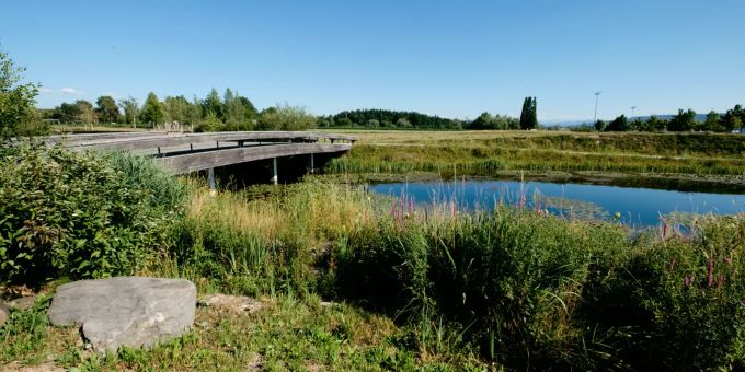Der Griespark in Volketswil. Der Griespark in Volketswil.