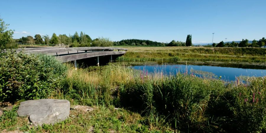 Der Griespark in Volketswil.