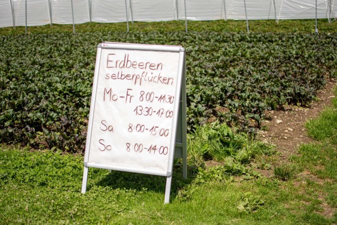 Die Öffnungszeiten des Erdbeerfeldes vom Wietlisbach-Hof.
