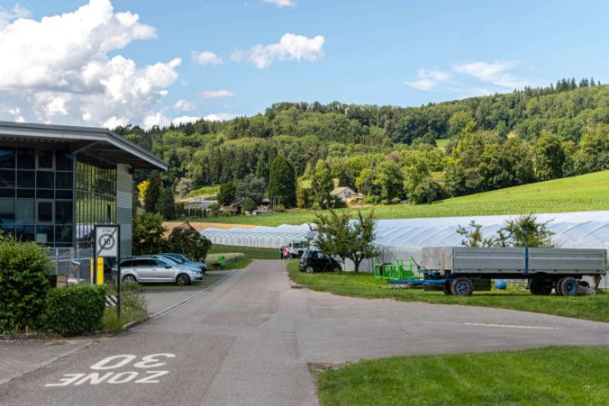 Aussicht vom Bauernhaus zum Erdbeerfeld.