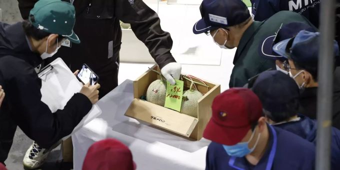 Die ersten zwei Yubari-Melonen wurden in Sapporo, Japan, zum Schnäppchen-Preis von gut 1000 Franken verkauft. Yubari-Melone