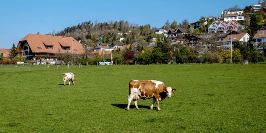 Ortsbild von Stettlen.