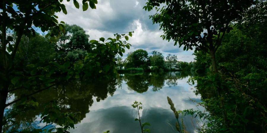 Der Zellweger Park in Uster.