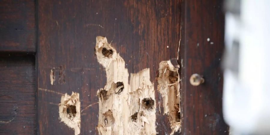 Einschusslöcher nach Anschlag auf die Synagoge in Halle