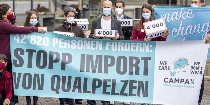 Tierschutzorganisationen reichen in Bern eine Petition für ein Importverbot für tierquälerisch erzeugte Pelze ein. (Archivbild) Tierschutzorganisationen reichen in Bern eine Petition für ein Importverbot für tierquälerisch erzeugte Pelze ein. (Archivbild)