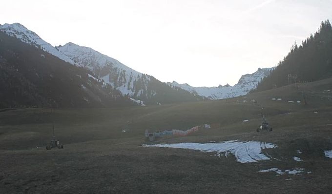 Grimmialp