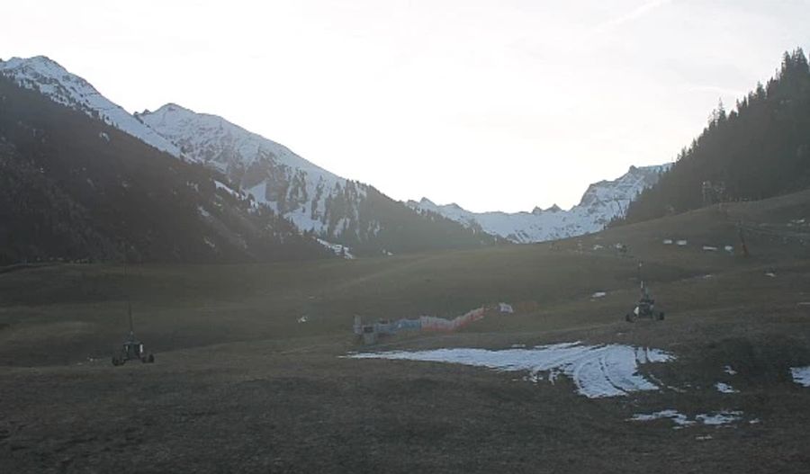 Auch die Grimmialp BE präsentierte sich am Silvestertag in grün.