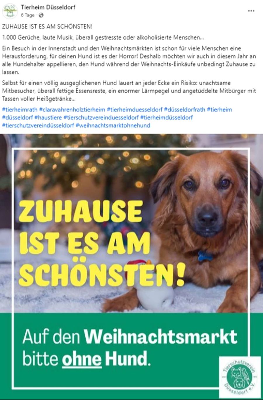 Hund Weihnachtsmarkt