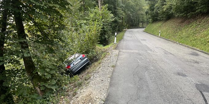 Rekingen AG - Am Steuer eingeschlafen und im Gebüsch gelandet