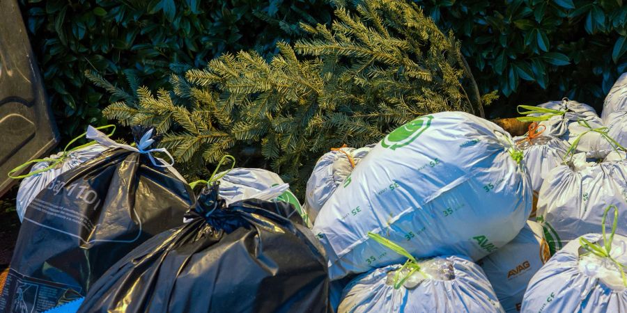 Ein entsorgter Weihnachtsbaum liegt neben einem Stapel Müllsäcke. (Symbolbild)