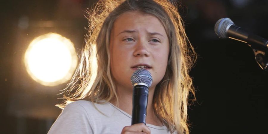 twitter greta thunberg andrew tate