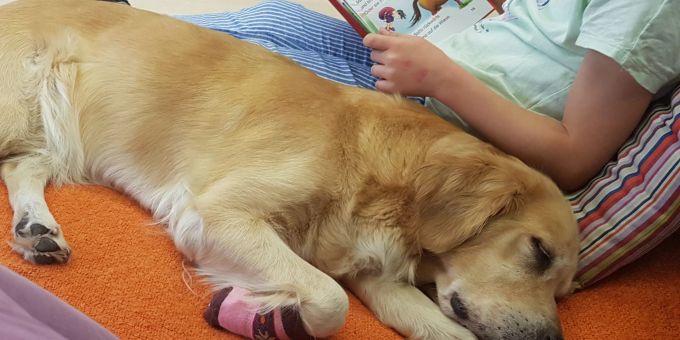 Kind und Hund